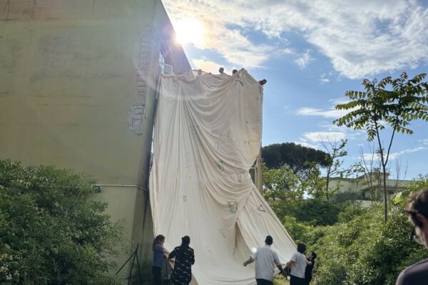 Giorno 9. Prima di arrotolarlo di nuovo.